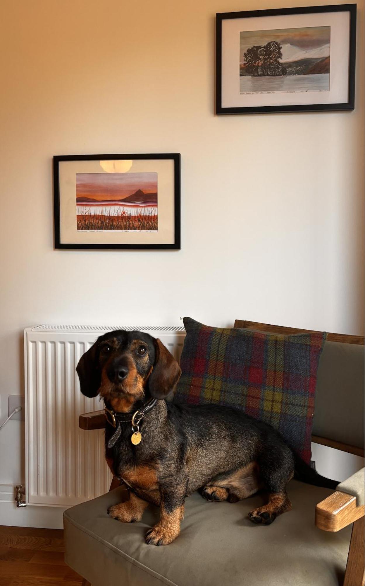 Holiday home Tay View