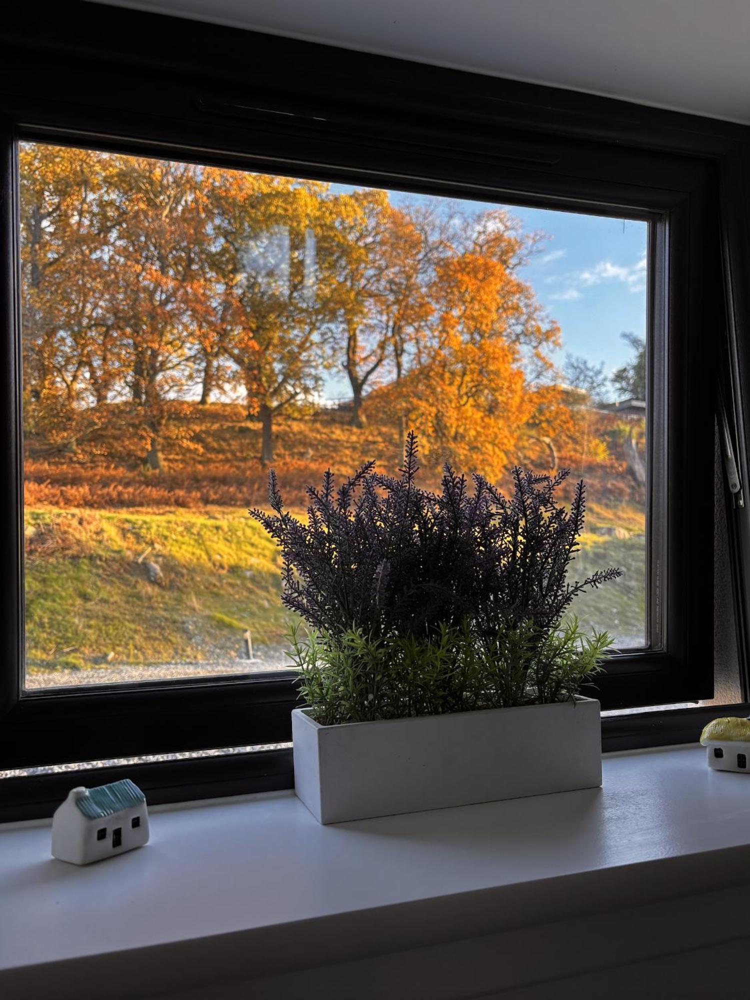 Tay View Holiday home Aberfeldy
